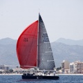 Jubilata´s Cup