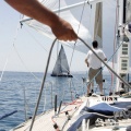 Jubilata´s Cup