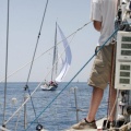 Jubilata´s Cup