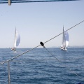 Jubilata´s Cup