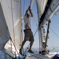 Jubilata´s Cup