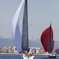 Jubilata´s Cup