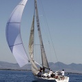 Jubilata´s Cup