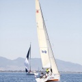 Jubilata´s Cup