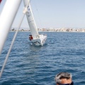 Jubilata´s Cup