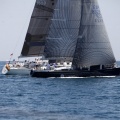 Jubilata´s Cup