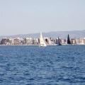 Jubilata´s Cup
