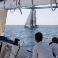 Jubilata´s Cup