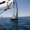 Jubilata´s Cup