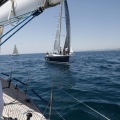 Jubilata´s Cup