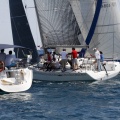 Jubilata´s Cup