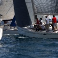 Jubilata´s Cup