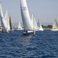 Jubilata´s Cup