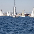Jubilata´s Cup