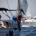 Jubilata´s Cup