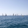 Jubilata´s Cup