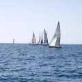 Jubilata´s Cup