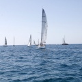 Jubilata´s Cup