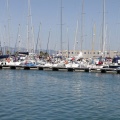 Jubilata´s Cup