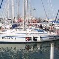 Jubilata´s Cup