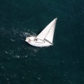 Jubilatas´s Cup