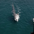 Jubilatas´s Cup