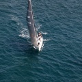 Jubilatas´s Cup