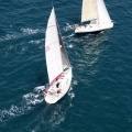 Jubilatas´s Cup