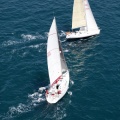 Jubilatas´s Cup