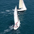 Jubilatas´s Cup