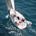 Jubilatas´s Cup