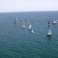 Jubilatas´s Cup