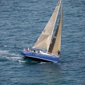 Jubilatas´s Cup