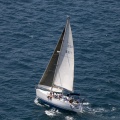 Jubilatas´s Cup