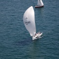 Jubilatas´s Cup