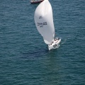 Jubilatas´s Cup
