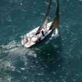 Jubilatas´s Cup