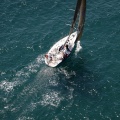 Jubilatas´s Cup