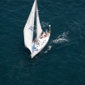 Jubilatas´s Cup