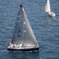 Jubilatas´s Cup