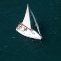 Jubilatas´s Cup