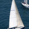 Jubilatas´s Cup
