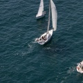 Jubilatas´s Cup