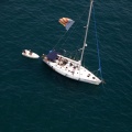 Jubilatas´s Cup