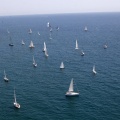 Jubilatas´s Cup