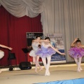 Concierto solidario