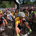 BTT Morella