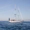 XVII Regata Costa Azahar
