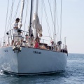 XVII Regata Costa Azahar