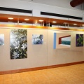 Beni-art